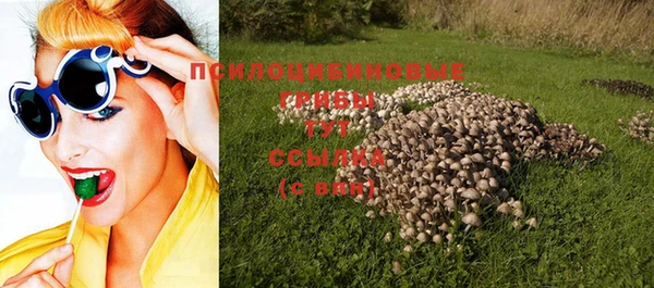 стафф Вязьма