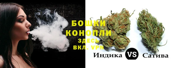 хмурый Вяземский