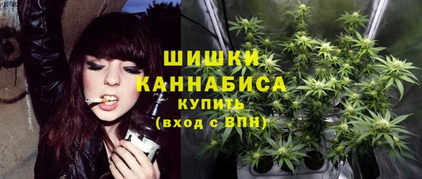 стафф Вязьма