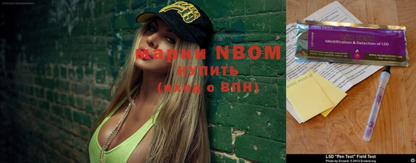 хмурый Вяземский